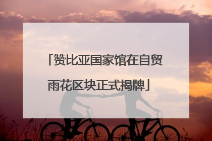 赞比亚国家馆在自贸雨花区块正式揭牌